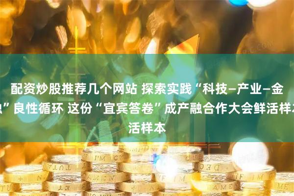 配资炒股推荐几个网站 探索实践“科技—产业—金融”良性循环 这份“宜宾答卷”成产融合作大会鲜活样本