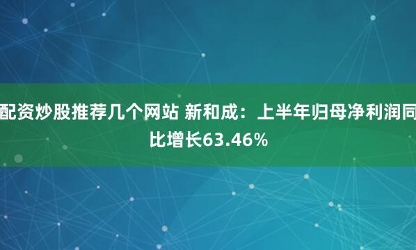 配资炒股推荐几个网站 新和成：上半年归母净利润同比增长63.46%