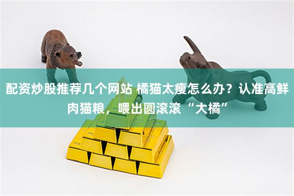 配资炒股推荐几个网站 橘猫太瘦怎么办？认准高鲜肉猫粮，喂出圆滚滚 “大橘”