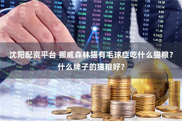 沈阳配资平台 挪威森林猫有毛球症吃什么猫粮？什么牌子的猫粮好？